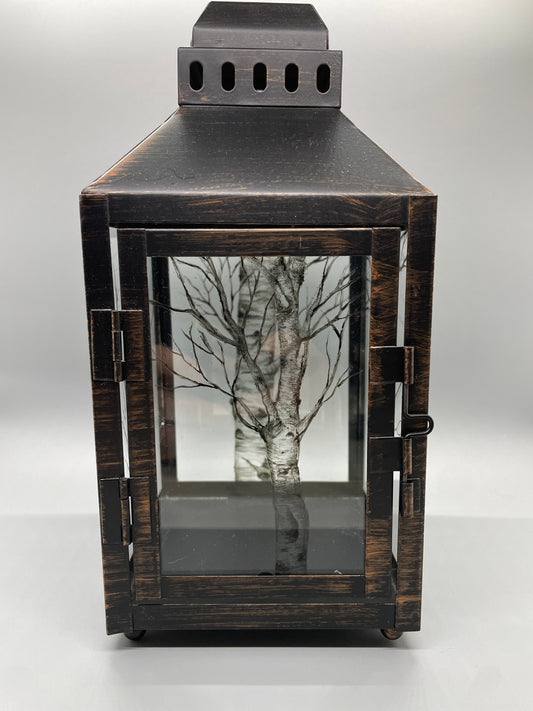 Birch Tree, Hand Painted, Lantern